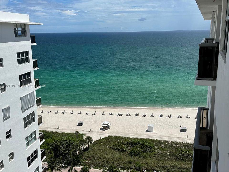 最近租的: $2,600 (1 贝兹, 1 浴室, 1063 平方英尺)