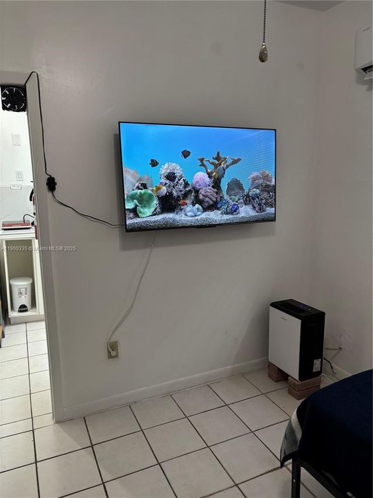Television in Bedroom