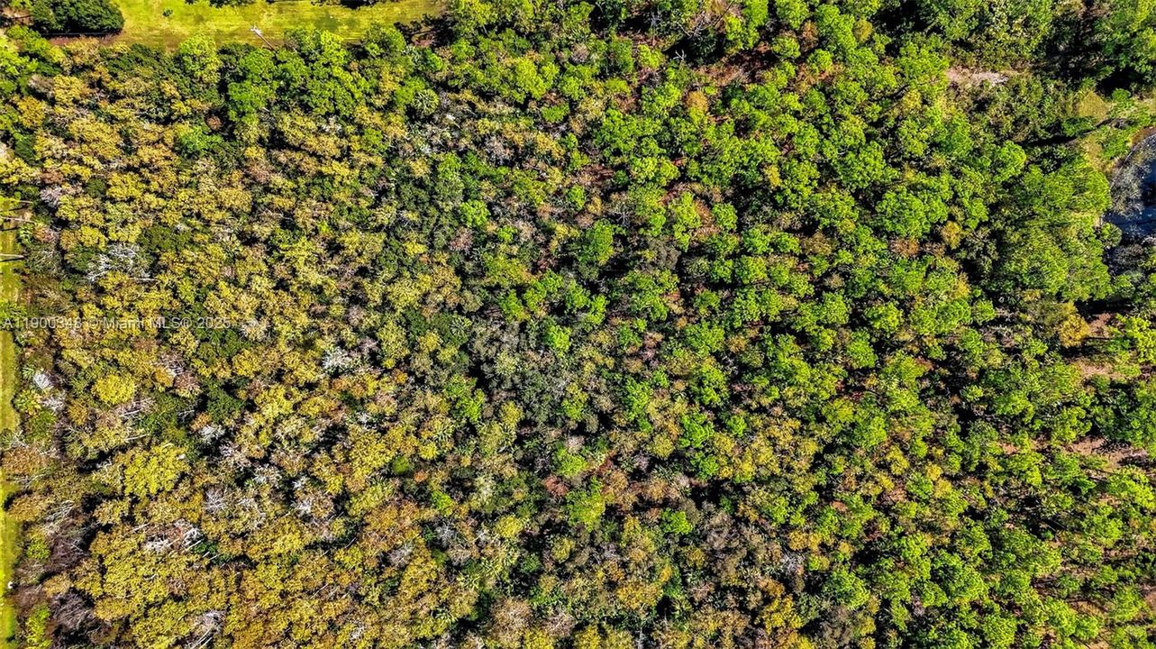 For Sale: $90,000 (2.73 acres)