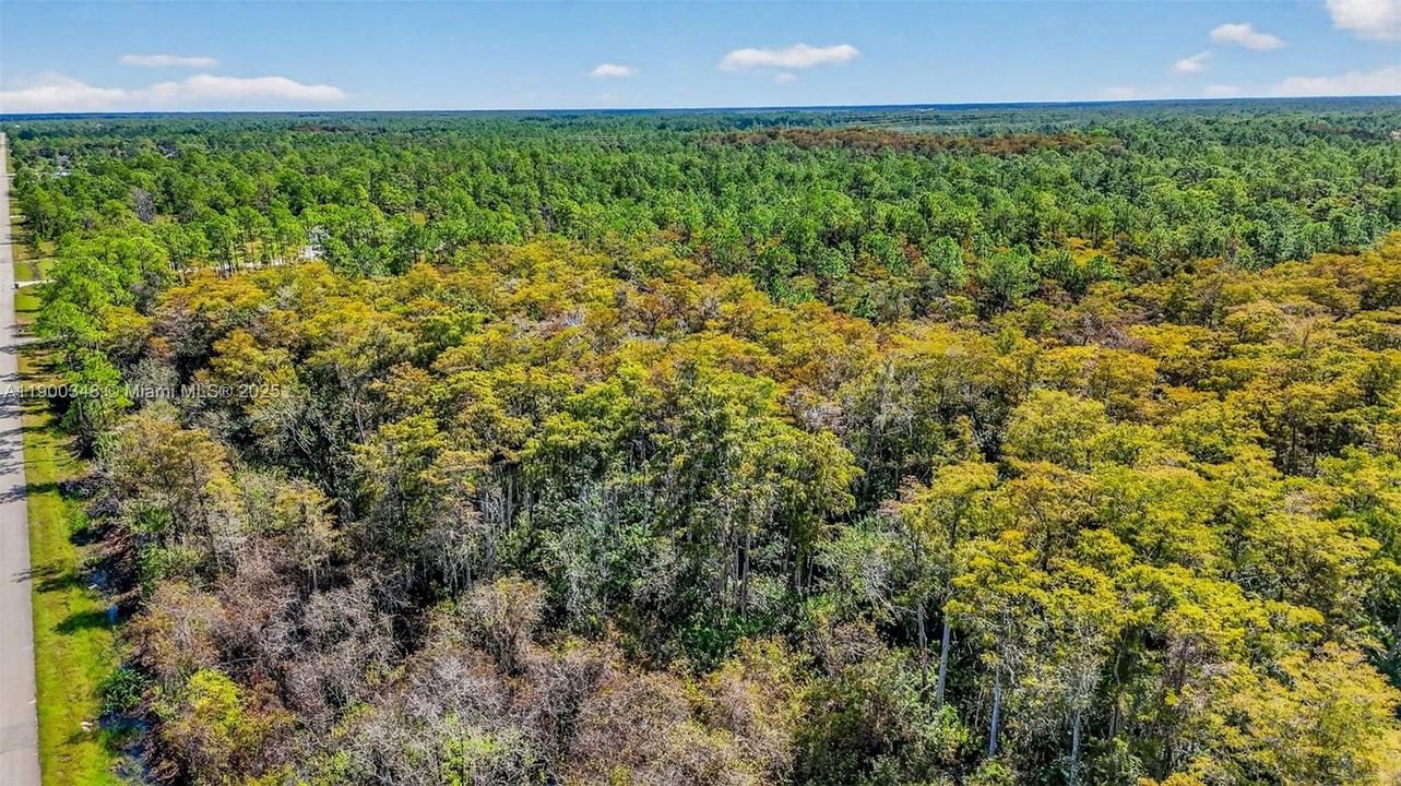 For Sale: $90,000 (2.73 acres)