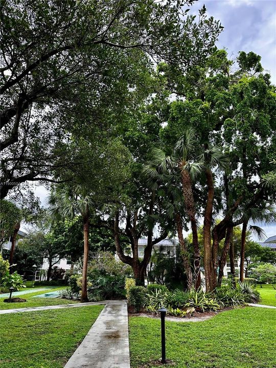 最近租的: $2,000 (1 贝兹, 1 浴室, 775 平方英尺)