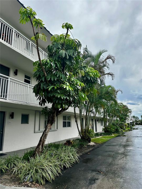 最近租的: $2,000 (1 贝兹, 1 浴室, 775 平方英尺)