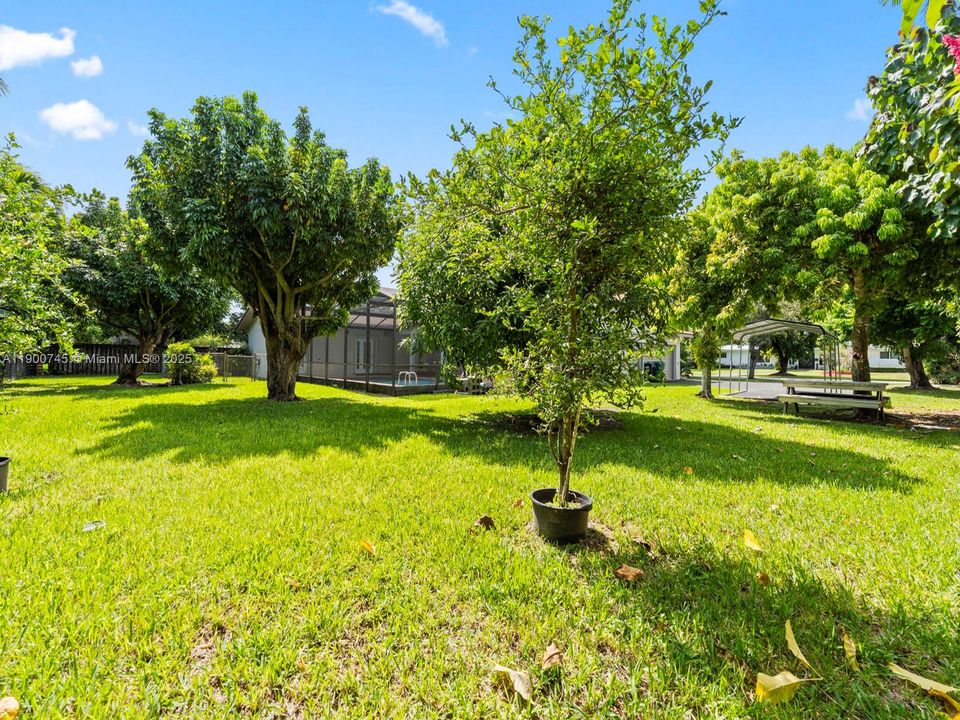 Active With Contract: $5,000 (4 beds, 2 baths, 2024 Square Feet)