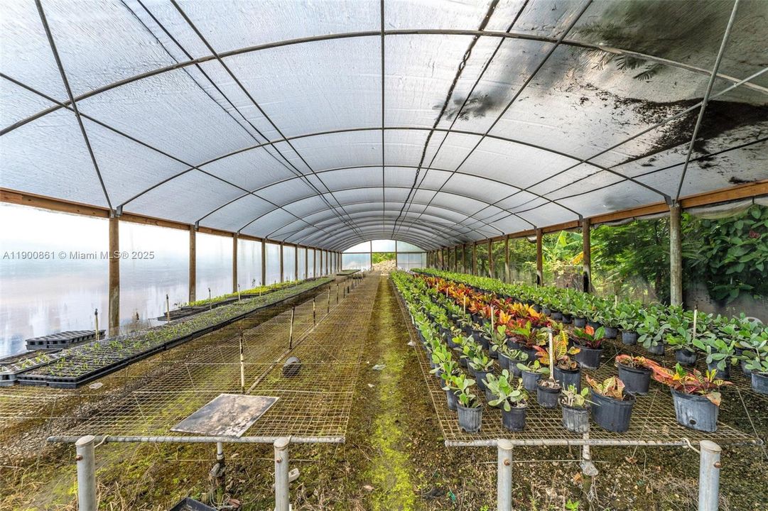 MIST HOUSE W/ BENCHES