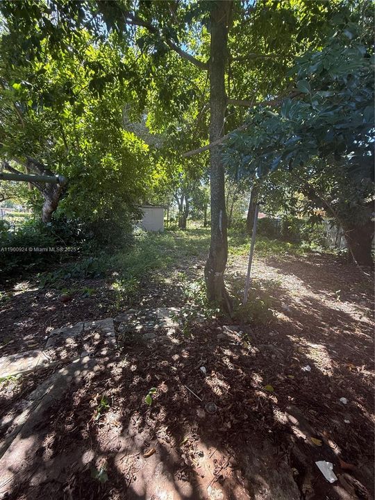 For Rent: $2,950 (3 beds, 2 baths, 804 Square Feet)