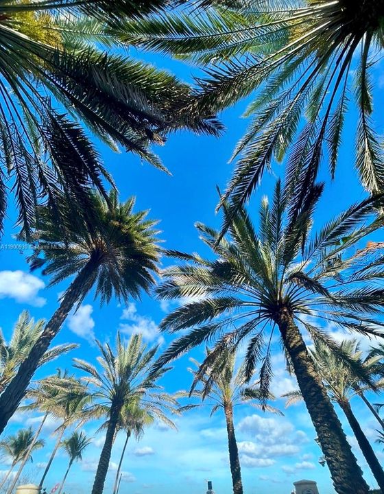 For Rent: $1,700 (0 beds, 1 baths, 450 Square Feet)