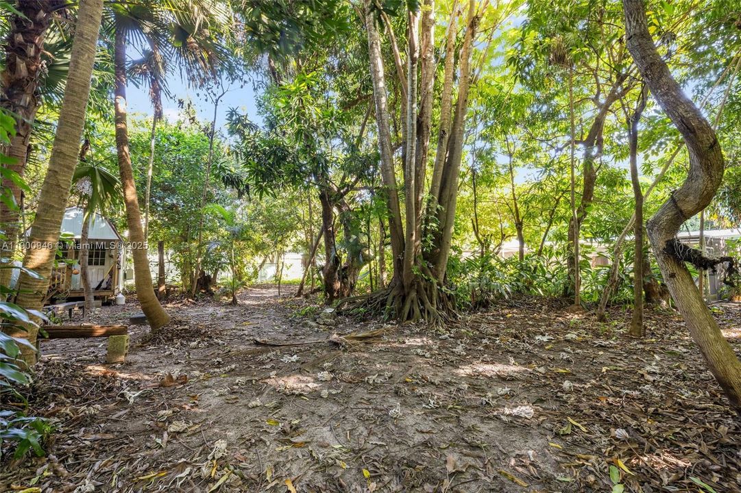 For Sale: $935,000 (3 beds, 2 baths, 1552 Square Feet)