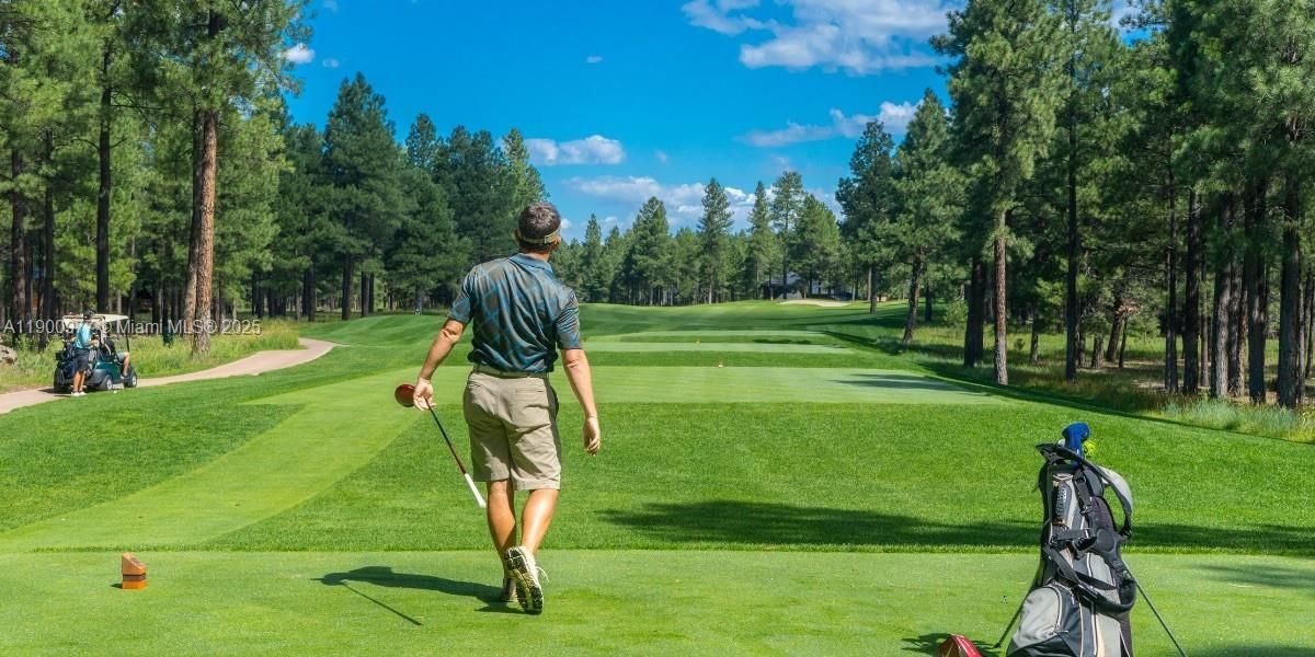 New to Golf Club