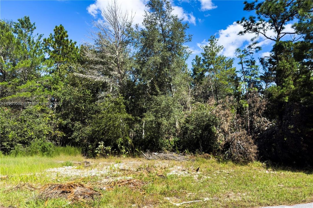 For Sale: $75,000 (1.03 acres)