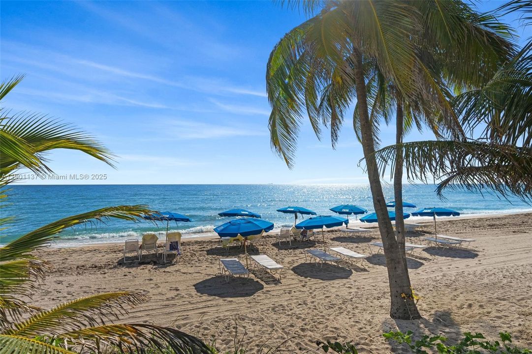 For Sale: $395,000 (1 beds, 1 baths, 896 Square Feet)