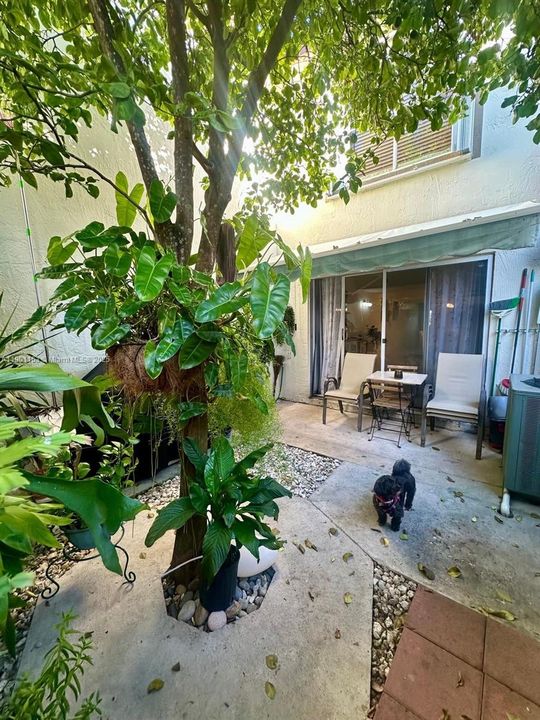 Active With Contract: $2,790 (3 beds, 2 baths, 1240 Square Feet)