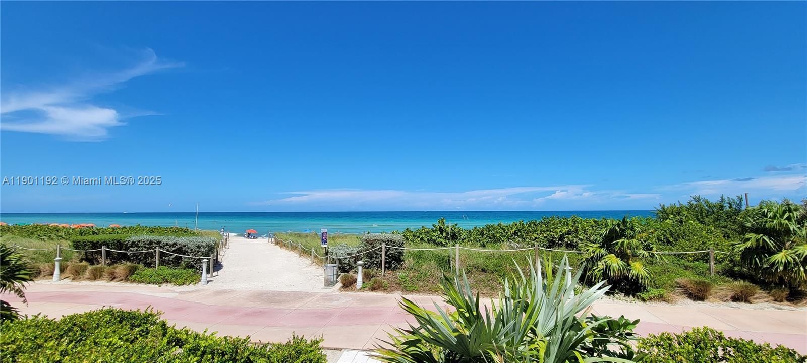 合同活跃: $3,000 (1 贝兹, 1 浴室, 812 平方英尺)