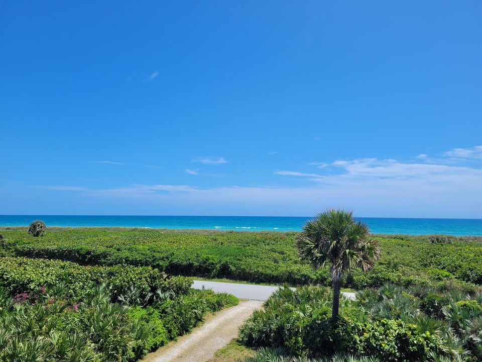 116 NBR Ocean View