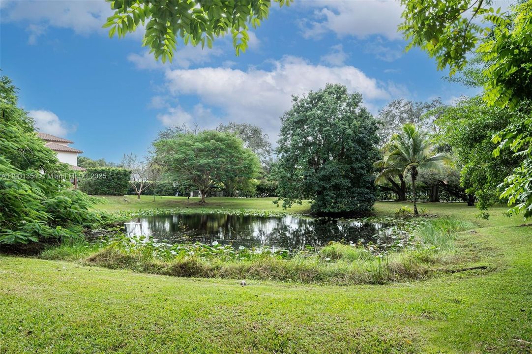 For Sale: $3,699,000 (6 beds, 5 baths, 4625 Square Feet)