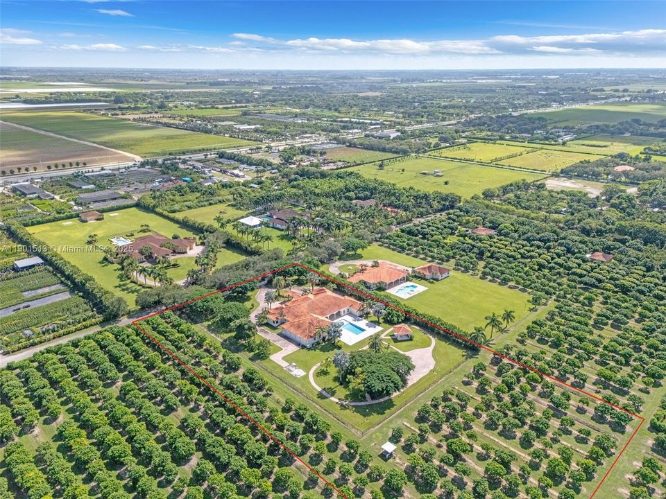 SHES a big girl with fruit trees. in addition there's another 5 acre grove  to north and another to the west owned by same..as well as the smaller estate home to south. what a great setup for large family