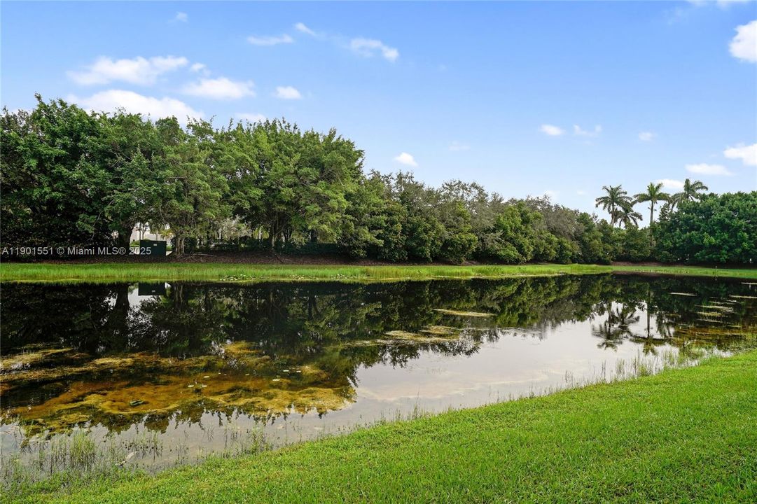 For Rent: $3,800 (4 beds, 2 baths, 1851 Square Feet)