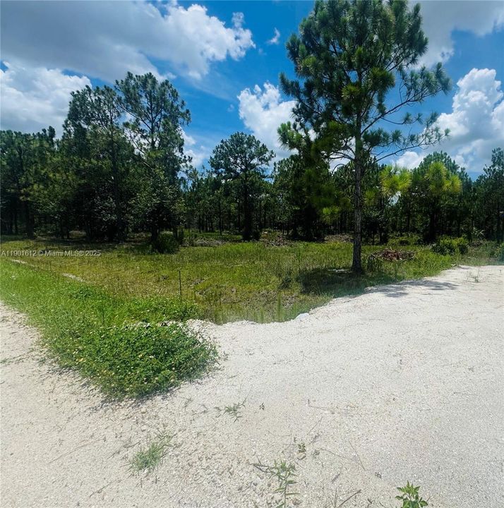 待售: $130,000 (2.50 acres)