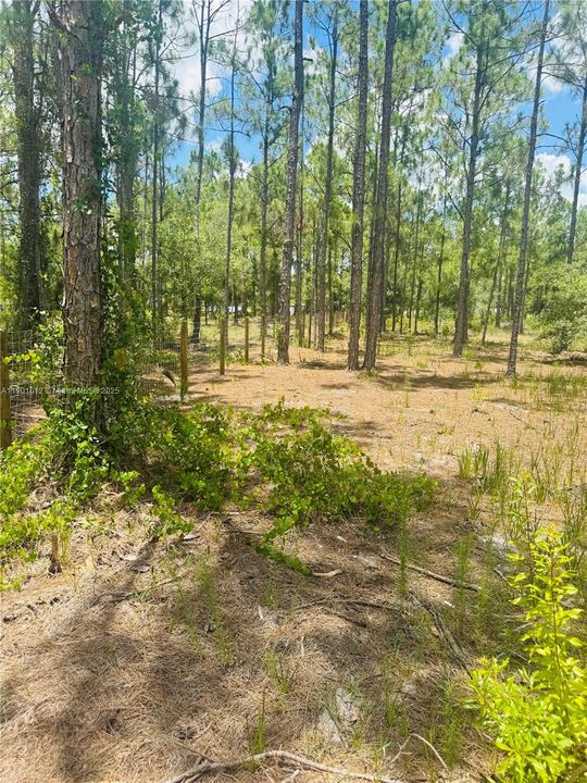 待售: $130,000 (2.50 acres)