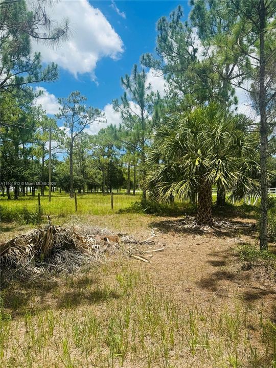 待售: $130,000 (2.50 acres)