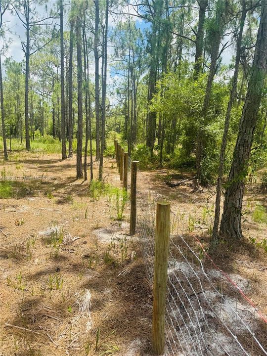 待售: $130,000 (2.50 acres)