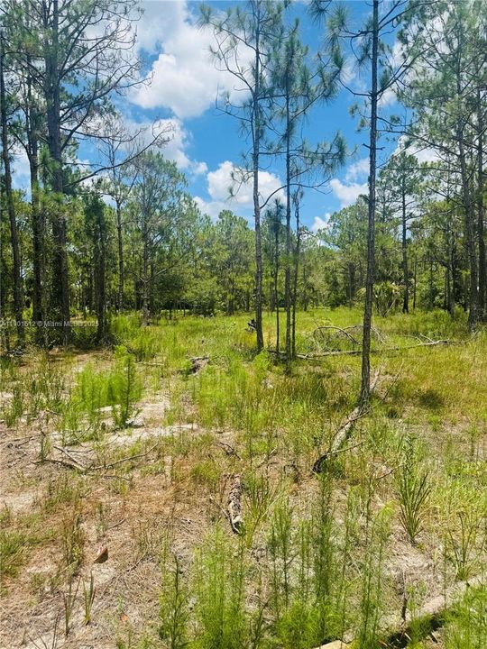 待售: $130,000 (2.50 acres)