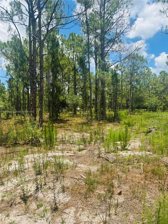 待售: $130,000 (2.50 acres)