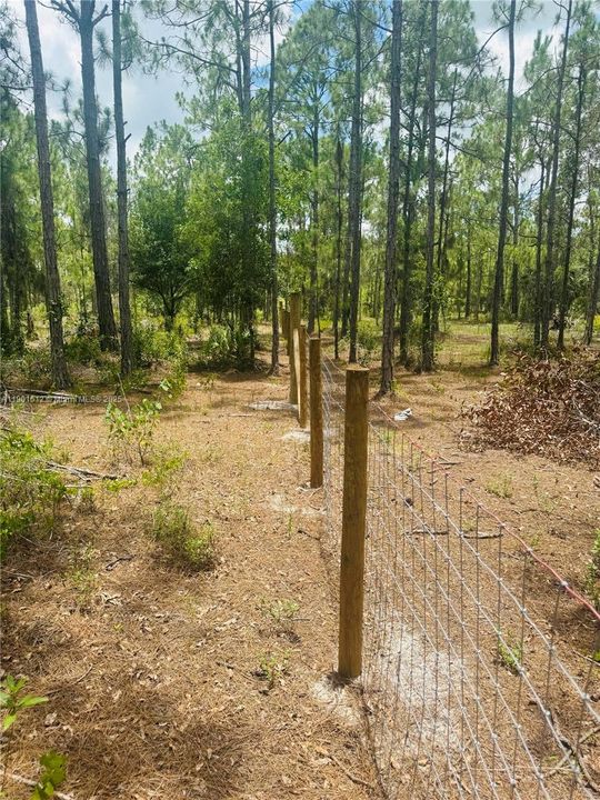 待售: $130,000 (2.50 acres)