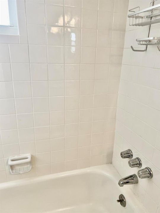 guest shower/tub