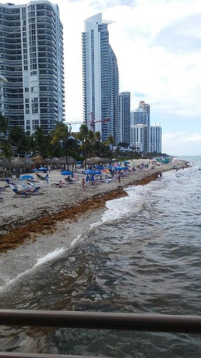 For Rent: $1,850 (1 beds, 1 baths, 767 Square Feet)