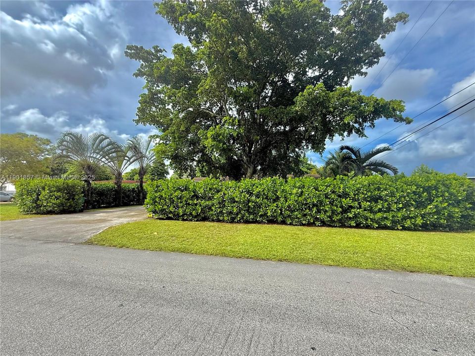 For Sale: $679,000 (3 beds, 2 baths, 1594 Square Feet)