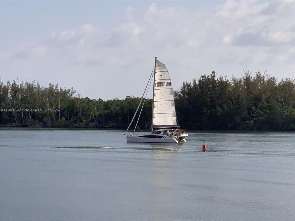 Beautiful Catamaran