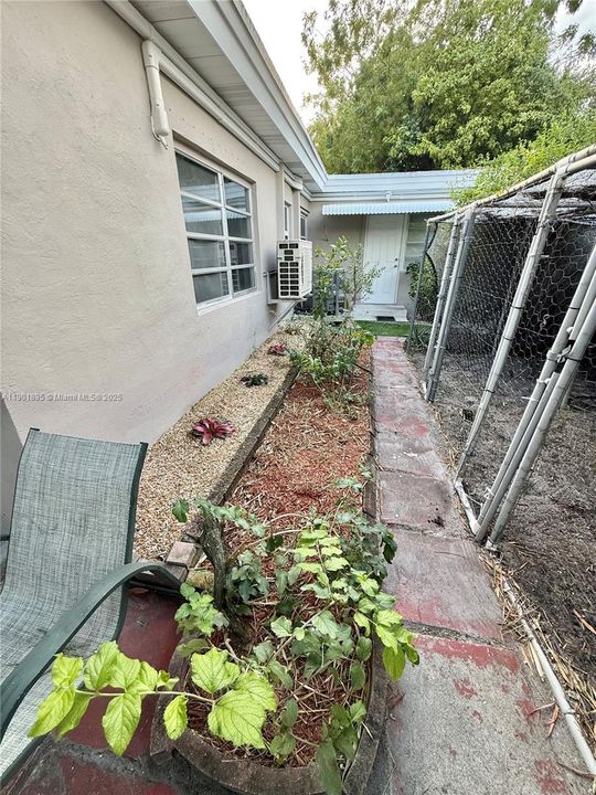 Backyard, with gardens & chickens