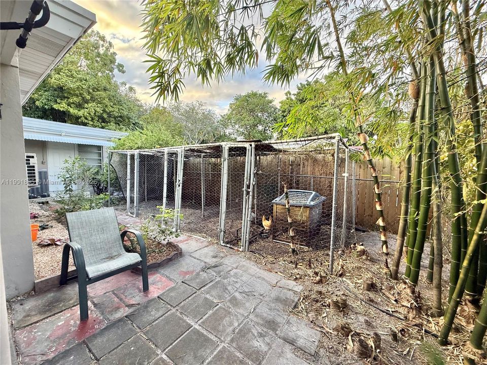 Backyard, currently has chickens, was a huge garden. Easy to remove or keep if you want your own fresh eggs and to create a garden