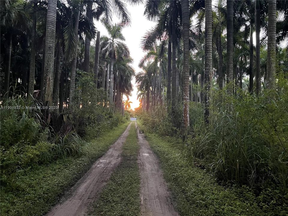 待售: $4,400,000 (0 贝兹, 0 浴室, 0 平方英尺)