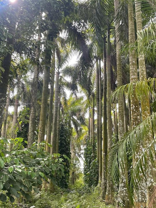 待售: $4,400,000 (0 贝兹, 0 浴室, 0 平方英尺)