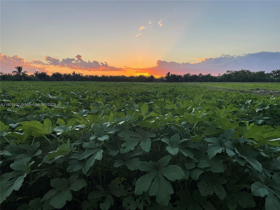 待售: $4,400,000 (0 贝兹, 0 浴室, 0 平方英尺)