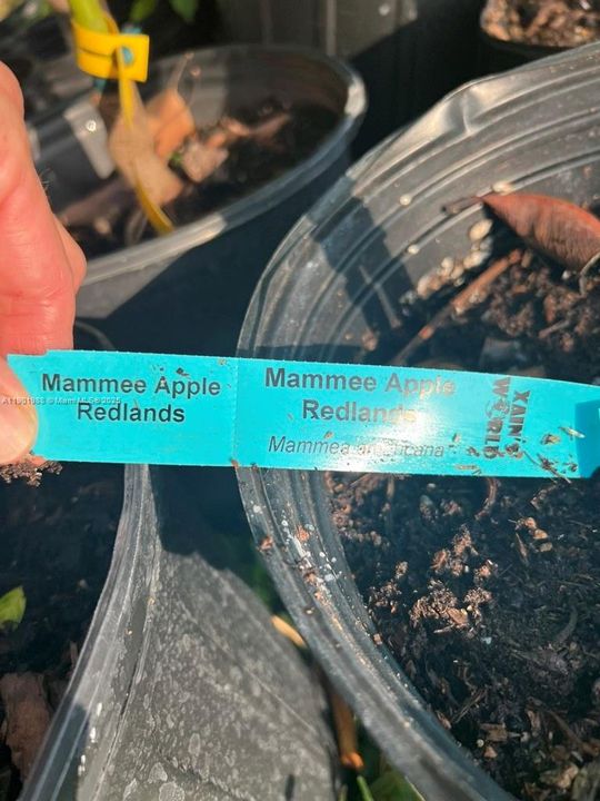 На продажу: $360,000 (2.00 acres)