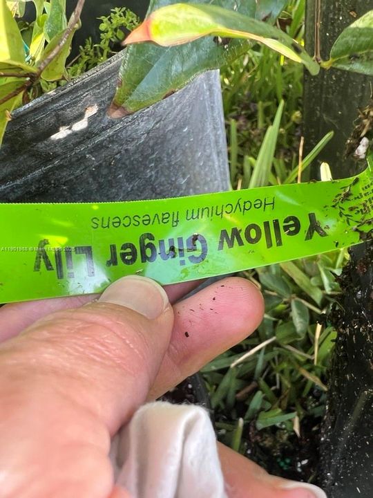 На продажу: $360,000 (2.00 acres)