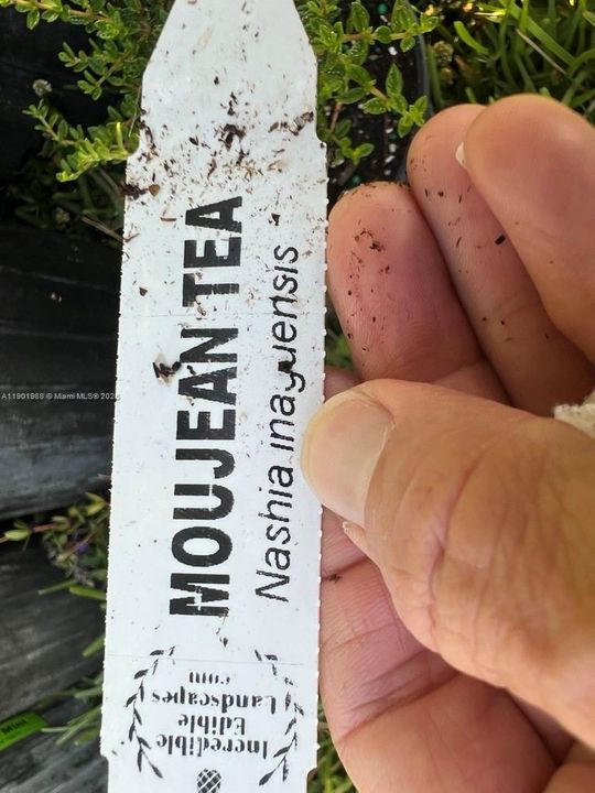 На продажу: $360,000 (2.00 acres)