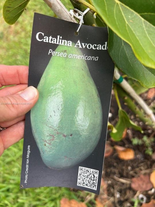 На продажу: $360,000 (2.00 acres)