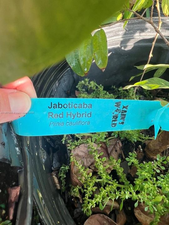 На продажу: $360,000 (2.00 acres)