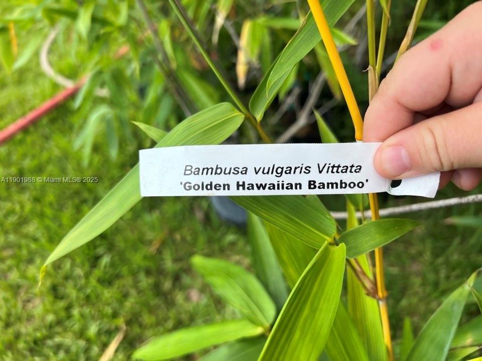 На продажу: $360,000 (2.00 acres)