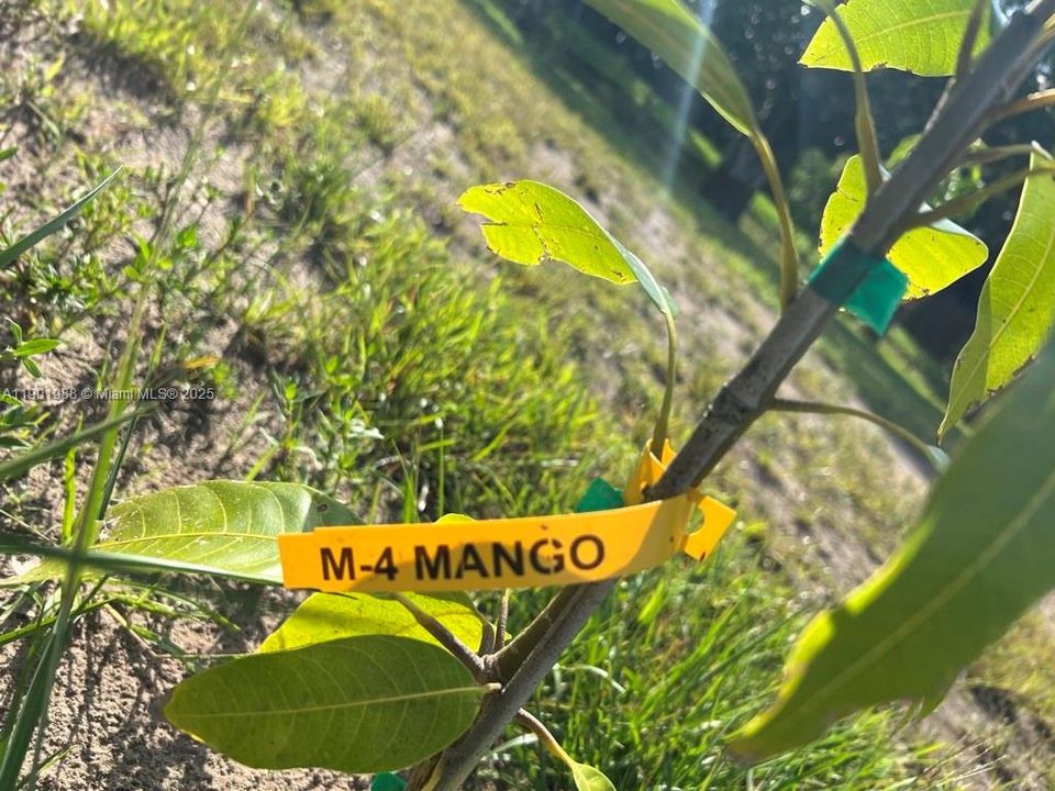 На продажу: $360,000 (2.00 acres)