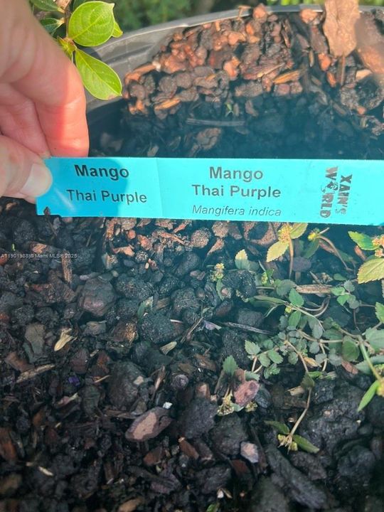 На продажу: $360,000 (2.00 acres)