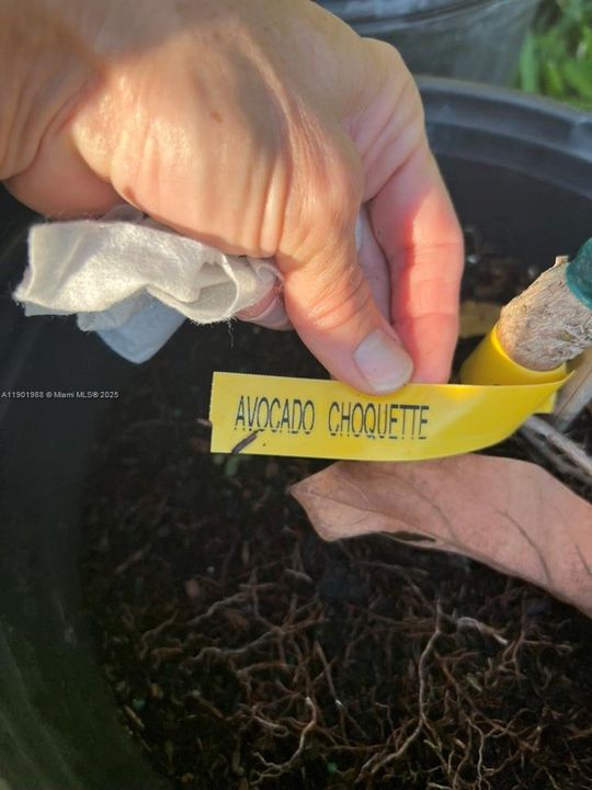 На продажу: $360,000 (2.00 acres)