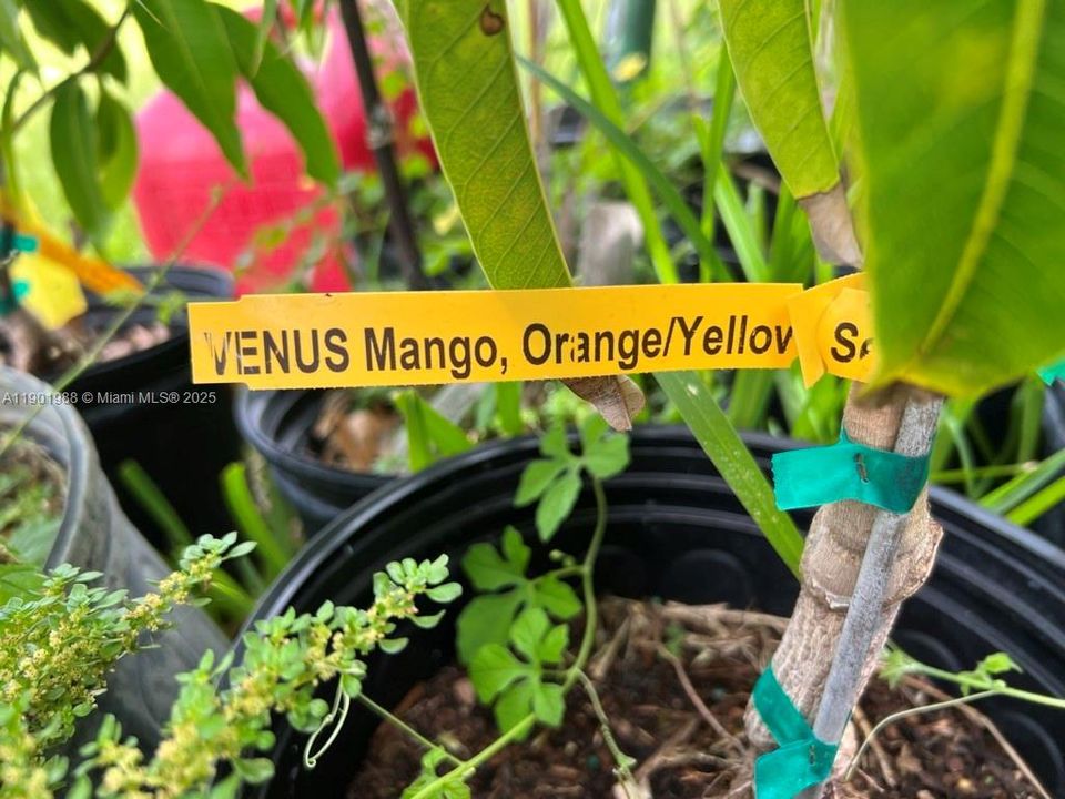 На продажу: $360,000 (2.00 acres)