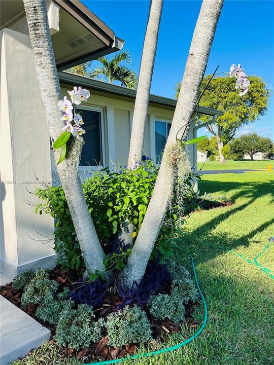 Recently Rented: $3,400 (3 beds, 2 baths, 1156 Square Feet)