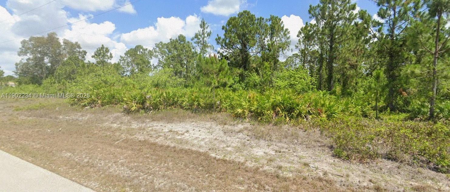 For Sale: $23,000 (0.23 acres)