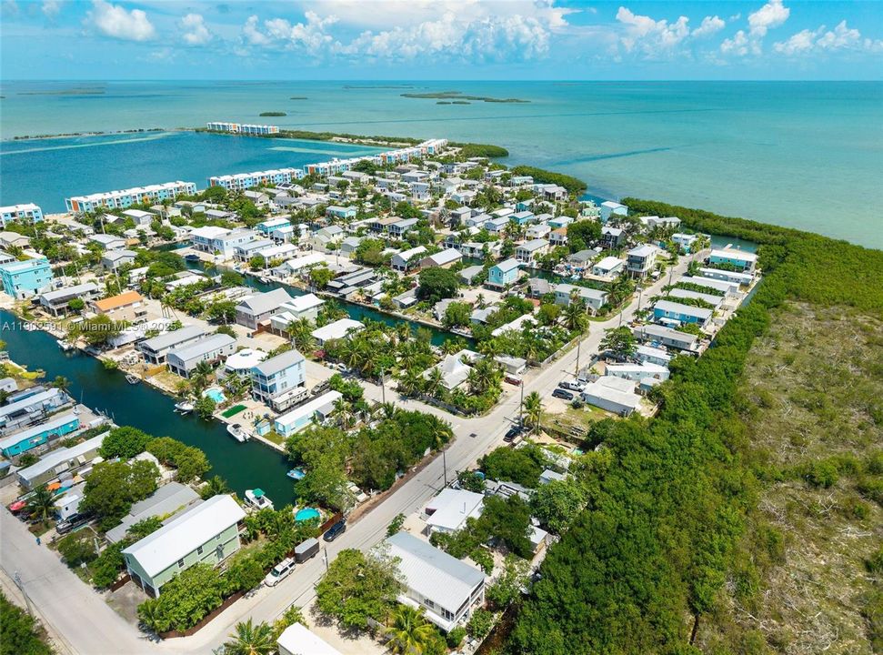 待售: $445,000 (1 贝兹, 1 浴室, 0 平方英尺)