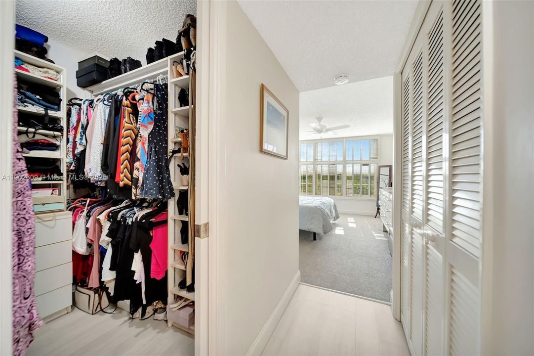 Primary suite entry with fantastic storage: a dedicated walk-in closet plus bonus hallway closets, leading right into the bright, oversized bedroom flooded with natural light and peaceful views.